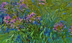 detailsdetales:  Agapanthus Flowers (1914-1917) Claude Monet 
