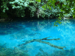 brutalgeneration:  Blue Lagoon, Vanuatu by Jan Kokes on Flickr. 