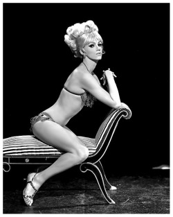 DUDE LOOKS LIKE A LADY!Moorish Stevens       During the 1960’s-era, Moorish was one of the most successful female impersonators working in Burlesque..