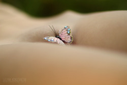 Buttefly by Konstantin Lelyak