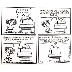 biblioterapia:  Peanuts completo - 1961 a 1962.