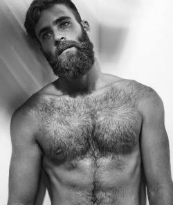 gay-hipsters:  Hairy hipster purrfection 😽😽😽 Support hipsters everywhere- Follow @gayhipsters // Follow @sam.fzr #gaygeek #gayhipster #hipster #gay #hotgay #musclegay #instagay #instaboy #instaman#gay #hotguy #hotboy #gaygod #gayboy #gaystud