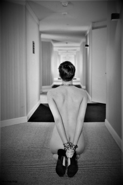 shorthair-babes:  Tied up in the middle of the hallway http://shorthair-babes.tumblr.com/shorthair
