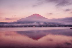 softwaring:  Views of Mt Fuji; Yuga Kurita 