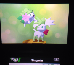 kiyotakamine:  why is sky forme shaymin on the ground but land forme shaymin hovering in midair 