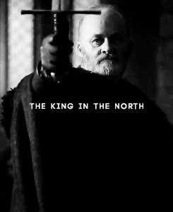 jonsnowsource:  Jon Snow avenged the Red Wedding. He is the White Wolf. The King in the North! 