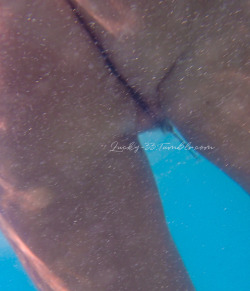 Jan 2018BahamasAnother underwater shot of her dangling jewelry. 