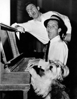 David Wayne, Frank Sinatra and their four-legged The Tender Trap costar break into song, 1955.