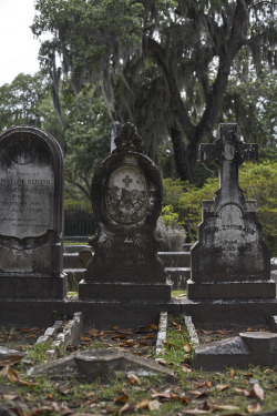 retoyman:  retoyman in respect at the Bonaventure Cemetery, near Savannah Georgia. Three beautiful headstones. 