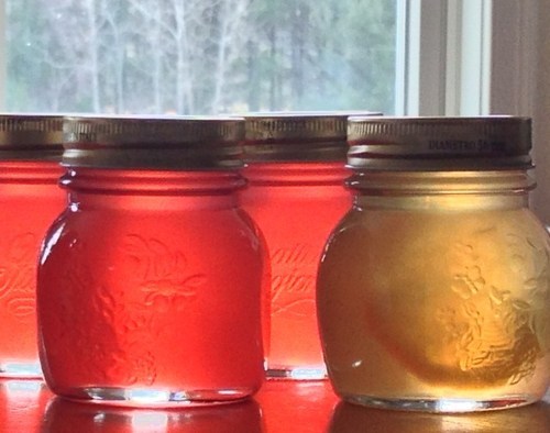 rhubarb jelly and Meyer lemon rosemary jelly from les collines, small batch jams, jellies and preserves from Columbia County, NY