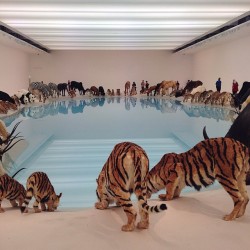 clubpunk:  Falling back to earth // Cai Guo-Qiang (at Gallery of Modern Art)