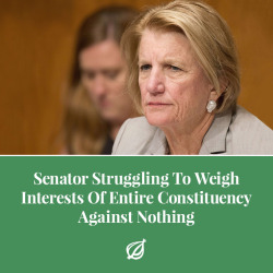 theonion:WASHINGTON—As legislators gathered Tuesday for a critical vote that would go a long way toward finally repealing and replacing the Affordable Care Act, Senator Shelley Moore Capito (R-WV) was reportedly struggling to weigh the interests of