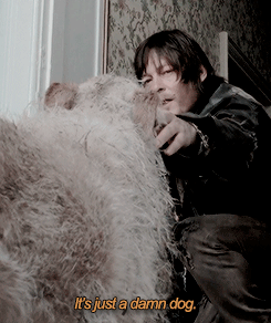 wewillbegood:  Your Beth Greene  a-serious-piggyback said: &ldquo;But you said there was a dog!&rdquo; Something about that scene gets me. Not only is it adorable (and who doesn’t love dogs), but shows that even though Beth is a badass, she hasn’t