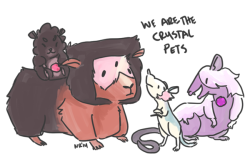 nopalrabbit:  Everyone’s drawings of the Gems as dogs and cats are so cute I wanted to do rats (because i love rats) but then it turned into this: hamster Steven, guinea pig Garnet, gerbil Pearl and fancy rat Amethyst. If Rose were included she’d