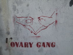dareyoutojump:  Ovary but not necessarily female gang, HOLLA.