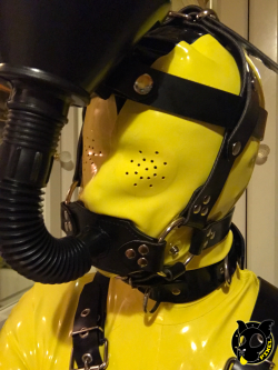 puppixel:  My new funnel gag arrived so thought I’d try it out with my yellow rubber. What do you think?  I think ima lock it on and jut exist as a urinal from now on *strains lots*  