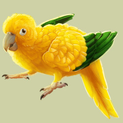 triruntu:   Day 219, the golden Queen of Bavaria Conure!  Parrots are still weird to draw but I’m getting the hang of them. Send in requests for more!  project tag | commissions | buy me a coffee! 