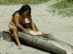   Guyanese woman preparing cassava, from David Attenborough&rsquo;s Zoo Quest in Colour.   