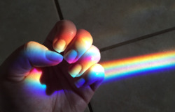 rainbow 🌈