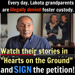 lakotapeopleslawproject:  Don’t miss Sundance award-winning director Kalyanee Mam’s short video on the kidnappings of Lakota children!To WATCH “Hearts on the Ground” and SIGN the petition,click here: www.LakotaLaw.org/Action