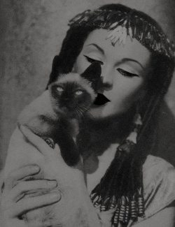 vivien-leigh: “You look just like a Persian kitten and that is how I want my Cleopatra.” -George Bernard Shaw to Vivien Leigh https://painted-face.com/