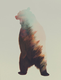 artbylie:  Norwegian Woods: The Bear 