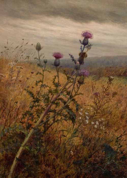 womansart: Fidelia Bridges (American painter) 1834 - 1923Thistle in a Field, 1875 oil on canvas 35.56 x 25.4 cm. (14 x 10 in.) signed and dated lower right “F. Bridges 1875”  