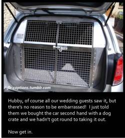  Hubby, of course all our wedding guests saw it, but there’s no reason to be embarrassed!  I just told them we bought the car second hand with a dog crate and we hadn’t got round to taking it out.  Now get in.  Caption Credit: Uxorious Husband