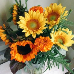 francescaroth:  Special flowers from special friends. #appreciate #tuesday #flowers #sunflower #colorful #yellow #orange #summer #friends #nmhrk #byakuren  (at (H)ome) 
