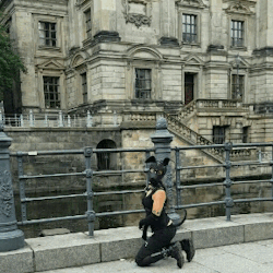 doggy-girl-chilli: Arf arf arf!  Being a happy puppy girl while exploring our capital city with the boss. Beautiful city! I can’t wait to visit again! 
