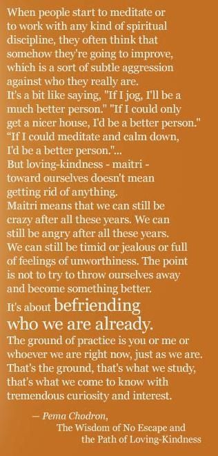 Pema chodron quotes about life