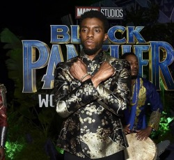 superheroesincolor:  #BlackPanther   red carpet  The ‘Black Panther’ Red Carpet Put Every Other Hollywood Premiere to ShameGet the comics here[Follow SuperheroesInColor faceb / instag / twitter / tumblr / pinterest]  Can&rsquo;t wait..bless up people..GM