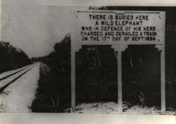 historicaltimes:  Memorial sign erected along the track of the Teluk Anson - Tapah Ipoh Railway in Malaysia in commemoration of a brave elephant. via reddit