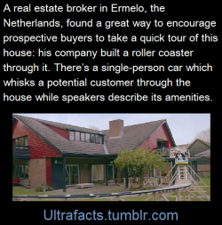 ultrafacts:     It makes the experience more fun. (Fact Source) Follow Ultrafacts for more facts     But can I just keep the rollercoaster in my house? please? x333