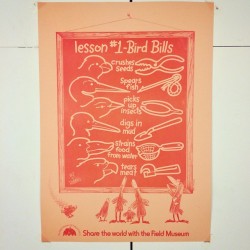 thebrainscoop:  A favorite poster of mine, seen on a cabinet in the bird division. (at The Field Museum)