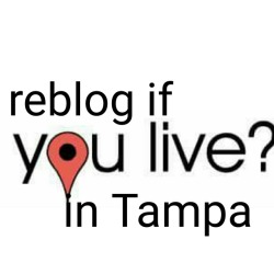 chaos-tranquility:  puuurrrr33756:  nwtpanole:  justacoupleblogging:  mrislandguy:  heheavy:Tampa freaks was up?  Tampa Florida  Just moved. Ocala now  Carrollwood/Citrus Park area  Tampa, St. Pete, Clearwater Heyyyyy  T-town