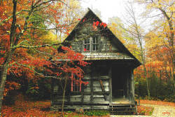 Autumn Wonderland | via Tumblr en We Heart It. http://weheartit.com/entry/79528402/via/Artemis17