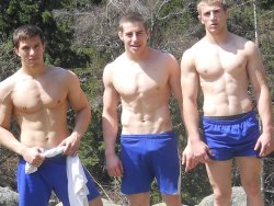 guystease:  Hot ripped shirtless Bulgarian wrestlers one with a big bulge! 