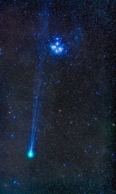 astronomicalwonders:  A Comet and a ClusterThis beautiful image shows the comet Lovejoy as it moves past the Pleiades Cluster. While the Pleiades Star Cluster has been studied for thousands of years, the comet Lovejoy was only discovered in August of