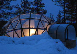 icreateidestroy:  It’s Hotel Kakslauttanen! This is their glass igloo village where you can watch the beautiful and vivid northern lights from your bed. How wild would that be?! There is so much do and experience here. If you are brave enough you can