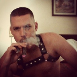 Cigar leather pig