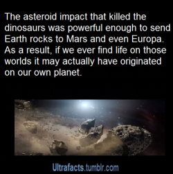 thetimelordwizard:  intoxikatie:  ultrafacts:  More Ultrafacts (Source)  THIS IS BLOWING MY MIND RIGHT NOW.  This is called Panspermia, &amp; is a popular theory among many scientists about the origins of life on Earth. That all life here, may have