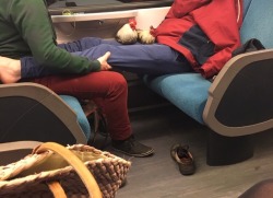 teamrocketing:this gay couple on the night train had actual chickens with them and i was certain i hallucinated it until i found the pictures just now