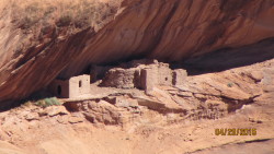 rougaroucojones:  Another one for sixpenceee, Diné cliff dwellings at Canyon de Chelly, Arizona. 