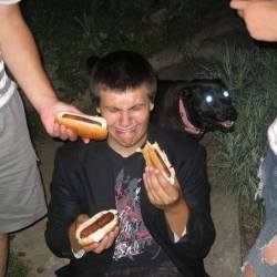ziegsden:  bogleech:  kasoukai:  cursed image  if you see this photo and don’t reblog it the night dog will appear the next time you are eating a hot dog and you will be given too many hot dogs while it watches your misfortune with sadistic glee  I