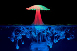 fuckyeahfluiddynamics:  Artist Corrie White uses dyes and droplets to capture fantastical liquid sculptures at high-speed. The mushroom-like upper half of this photo is formed when the rebounding jet from one droplet’s impact on the water is hit by