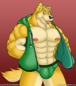 Carefree Wealthy Dog by Citrusification, colored by meI&rsquo;ve been a fan of Citrusification&rsquo;s muscle artwork for quite some time now, and I colored and shaded one of his sketches just for the fun of it. He has approved the final image, and has