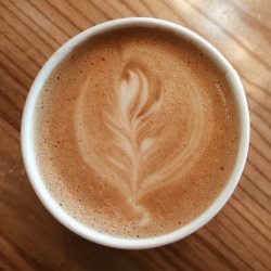 i love my little latte sprigs 🌿☕️❤️