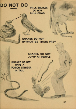 nemfrog:“Things that snakes do not do.” Hypnotize birds, milk cows, jump at people. Snakes. 1949. 