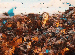 chriscappuccino:  Bilbo crying about butterflies, the blog.  I was going to text you about this, but YES CHRIS LOOK IT&rsquo;S YOU.